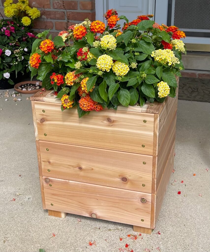 Cedar Deck Basket Box shown with a standard 12-inch grow basket.